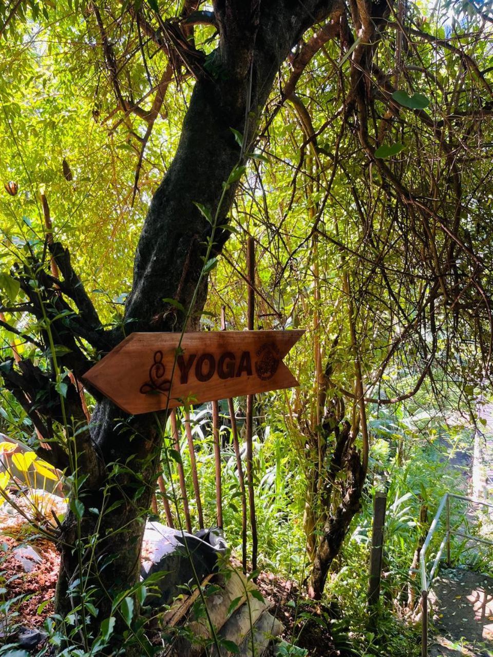 Gaia Ella Ecolodge And Yoga Centre المظهر الخارجي الصورة