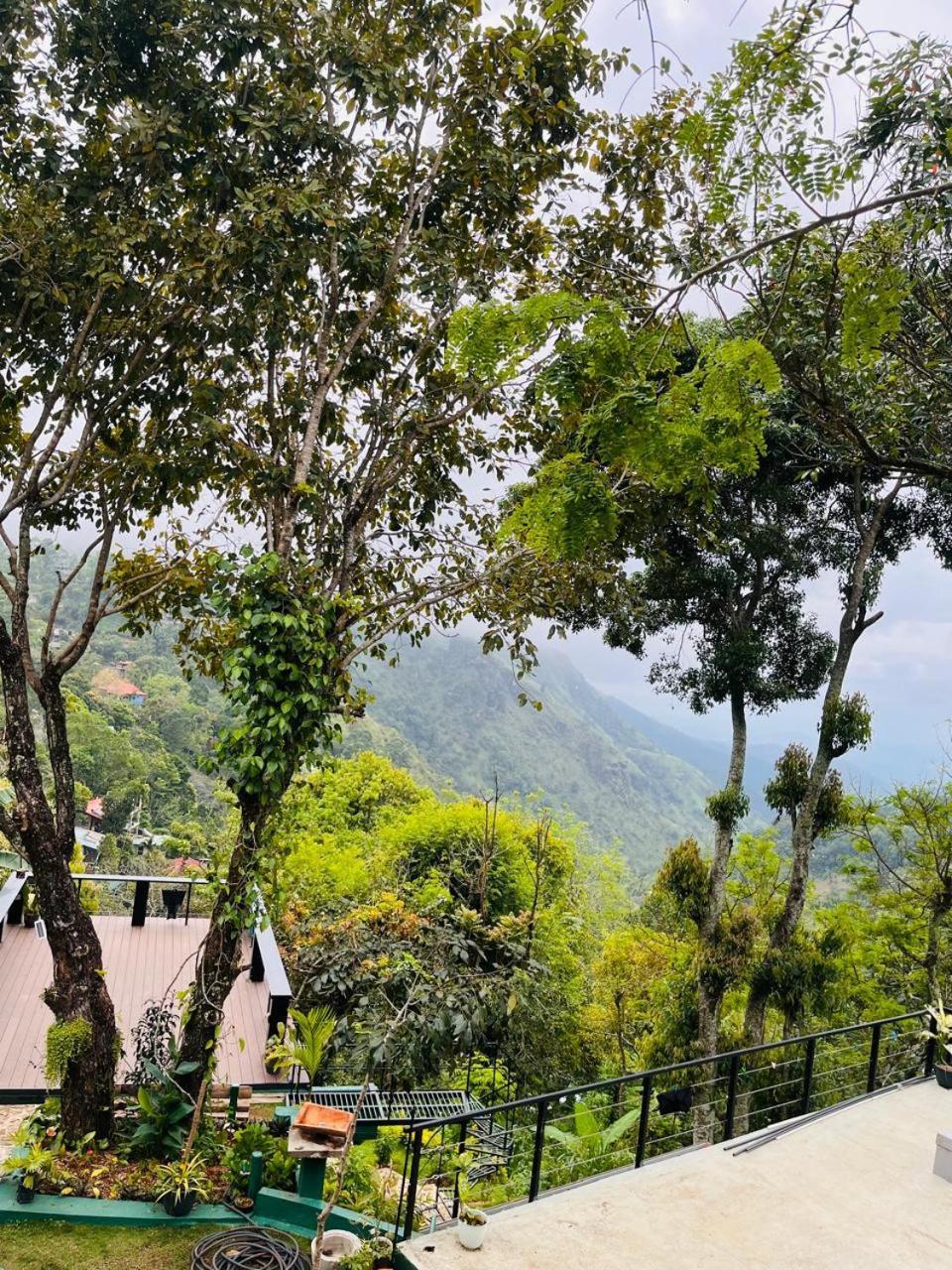 Gaia Ella Ecolodge And Yoga Centre المظهر الخارجي الصورة