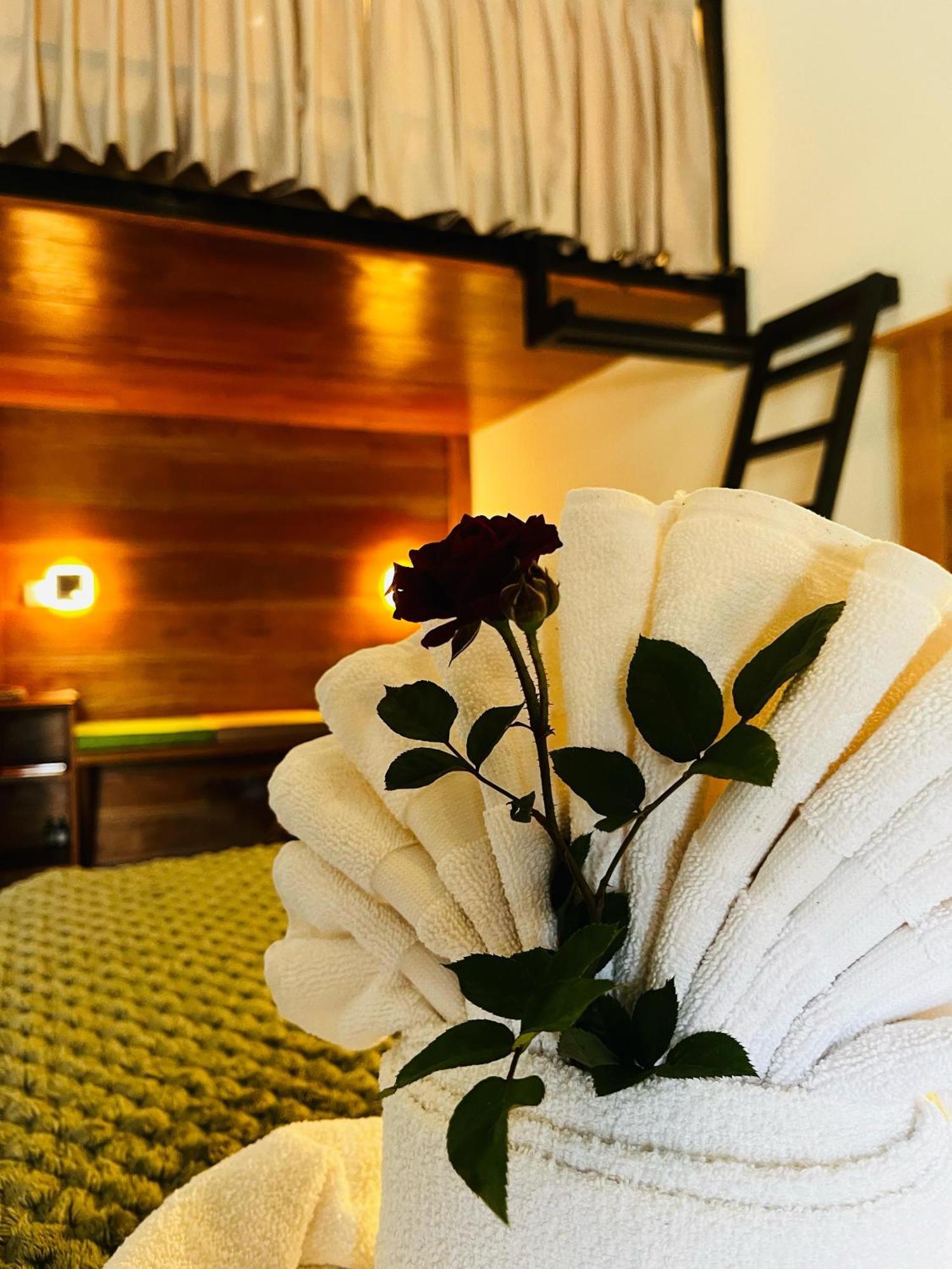 Gaia Ella Ecolodge And Yoga Centre المظهر الخارجي الصورة